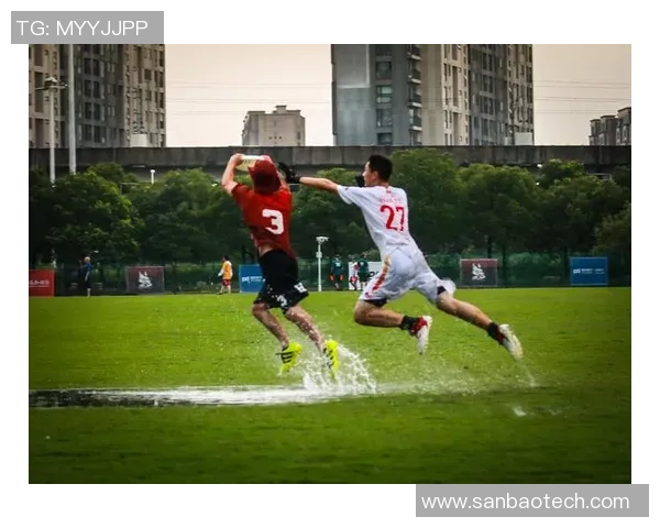 飞盘运动的魅力与挑战：深入了解深圳飞盘队的耐力训练与团队精神